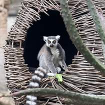 Mykolaiv Zoo