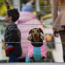 В Одесі відкрилася виставка, що поєднує фотографію й театр