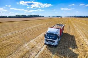 NABU uncovers grain theft scheme worth 12 million in Mykolaiv region