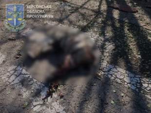 Через черговий обстріл окупантами Херсонщини загинула жінка