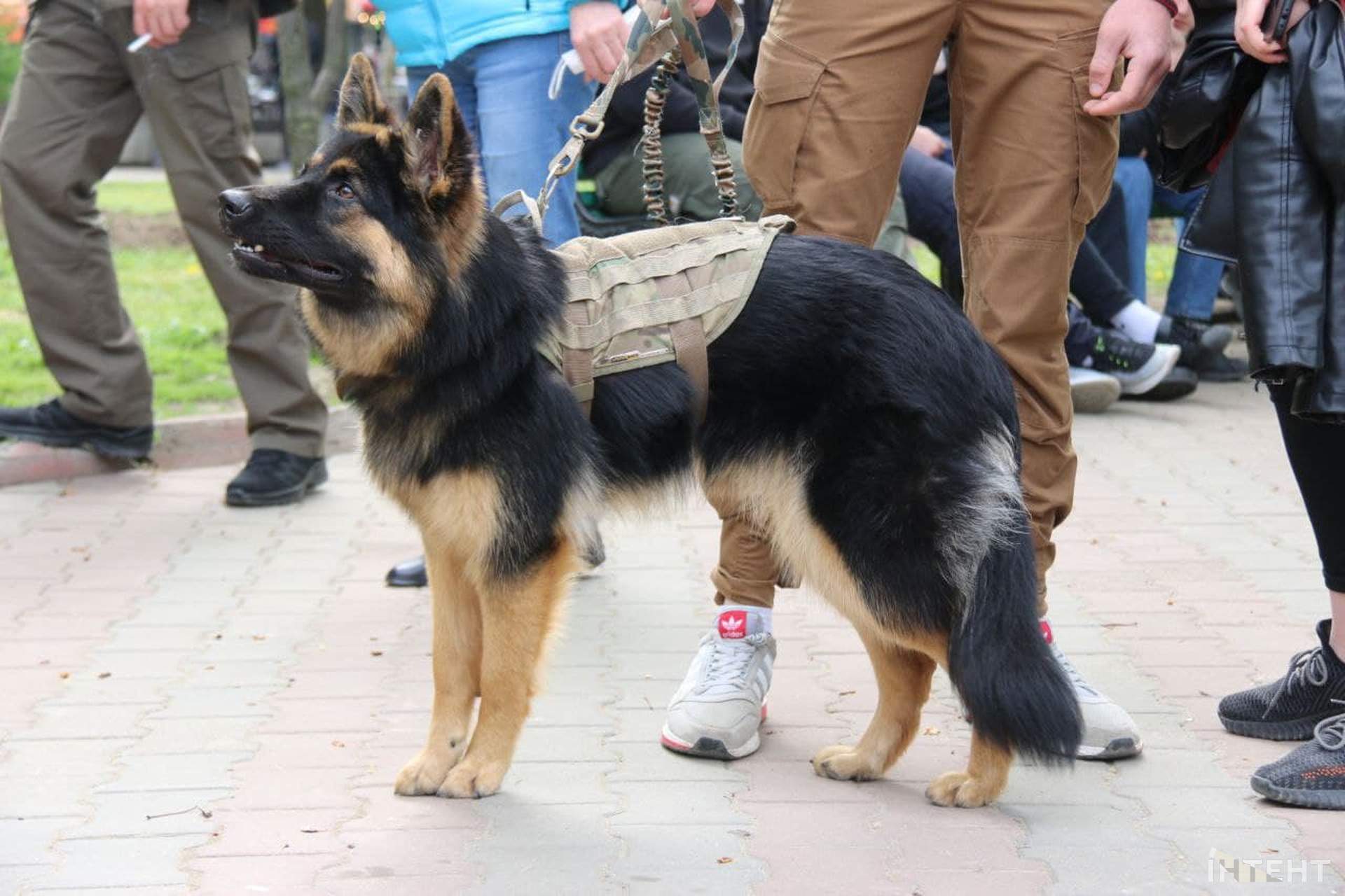Заходи в центрі Одеси, присвячені подіям 2 травня