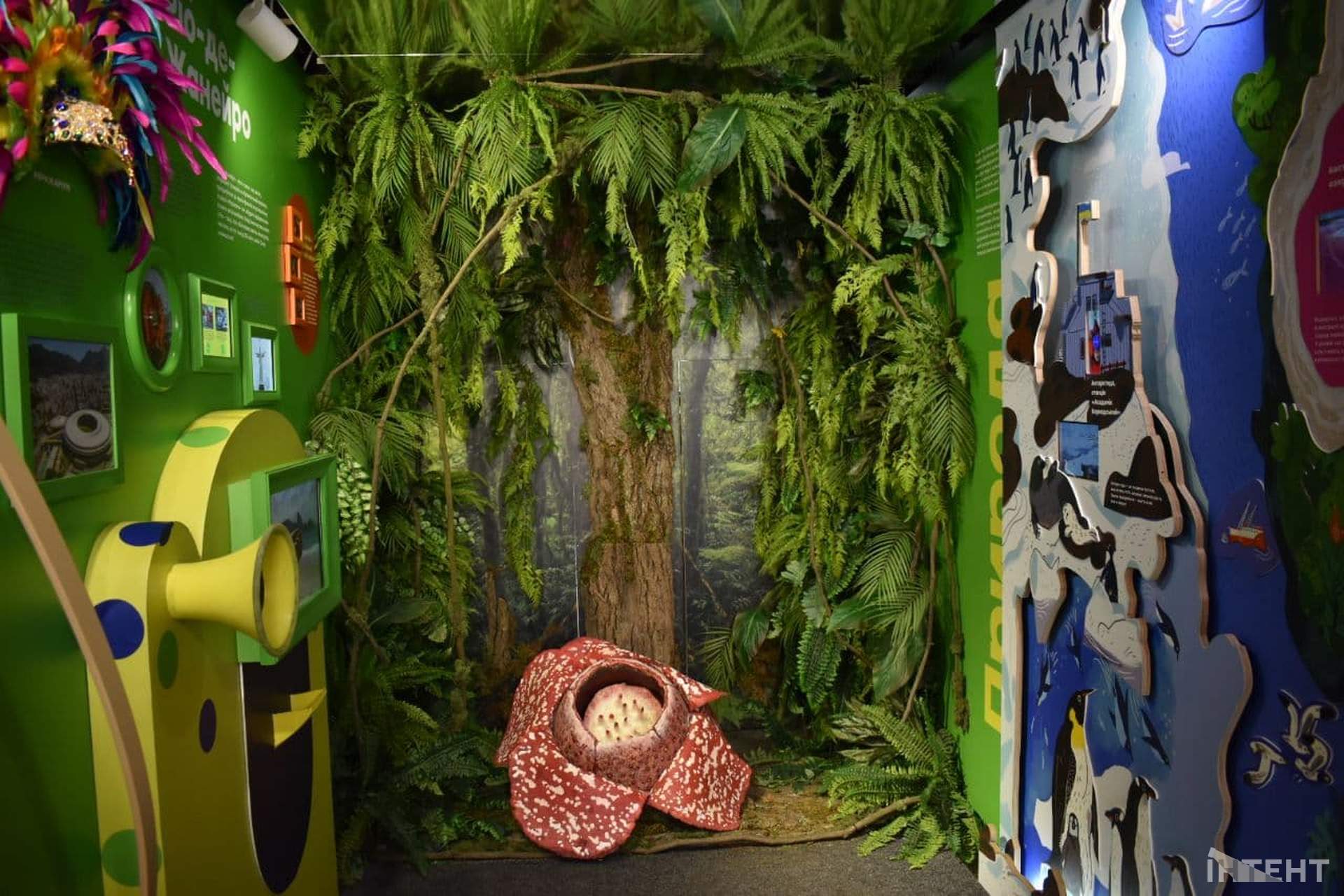 Вражаріум: як мандрувати, не залишаючи Одеси