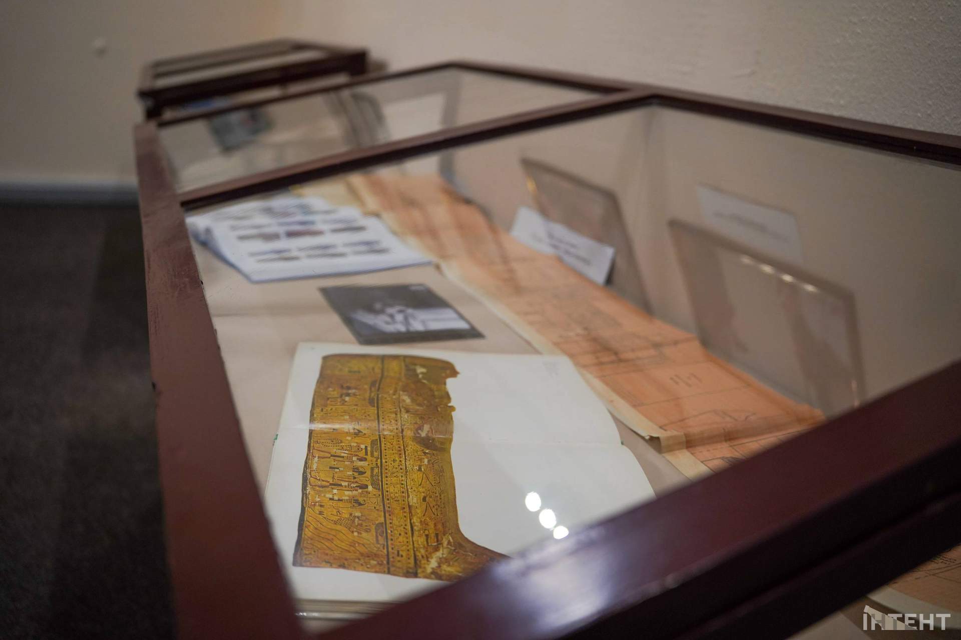 На честь 200-річчя в Одеському археологічному музеї розширили експозицію