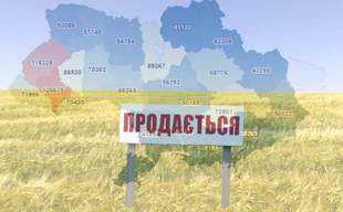 Земля на юге оказалась одной из самых дешевых в Украине