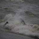 Як рятували екіпаж танкера "Делфі"