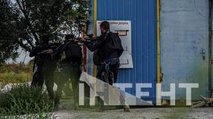 Underwater front: divers of the Omega unit about demining, battles and dangers