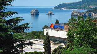 Артек включили в санкционный список за поддержку оккупации