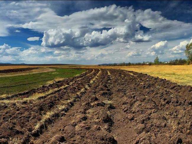 Фото: Агрополіт