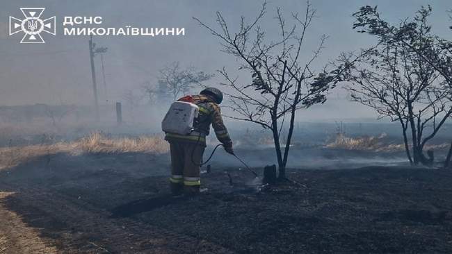 Фото: ГСЧС Николаевщины