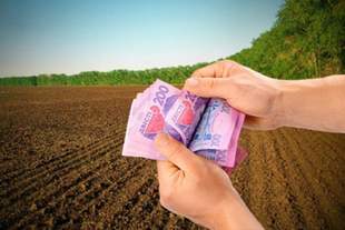 На Миколаївщині директорка підприємства провела незаконні махінації з землею