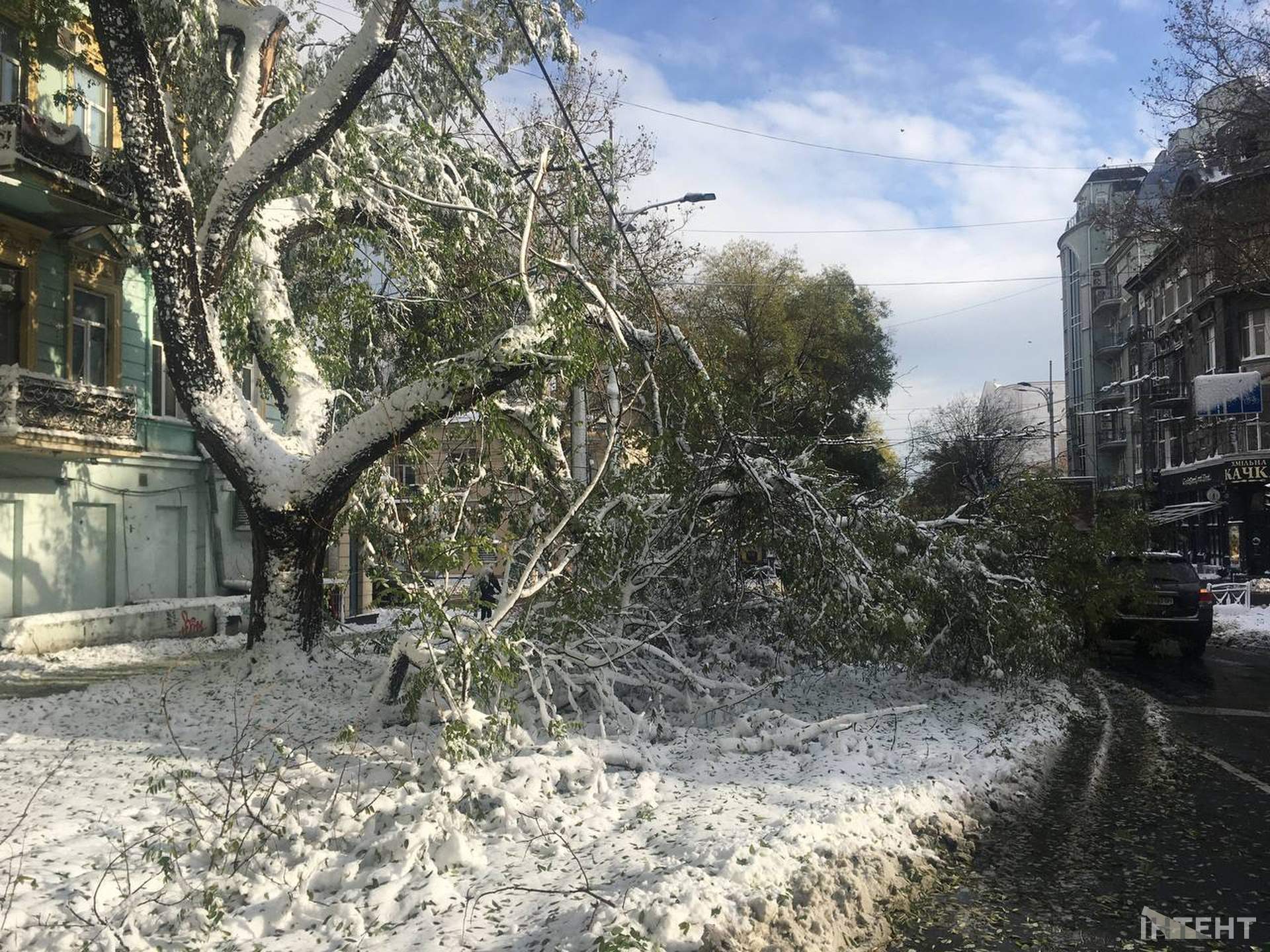 Повалені дерева та засніжена Одеса у світлинах Інтента