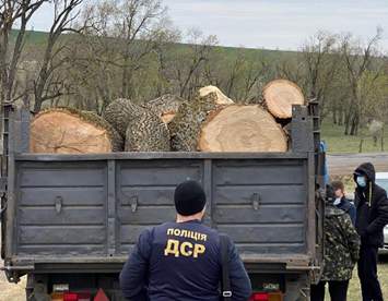 Службовців Одеської залізниці підозрюють у незаконній вирубці лісу на понад мільйон гривень