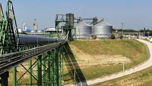 В Одесской области для арестованного морского терминала Коломойского будут искать управляющего