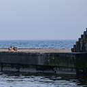 На одеські пляжі прийшла друга воєнна весна