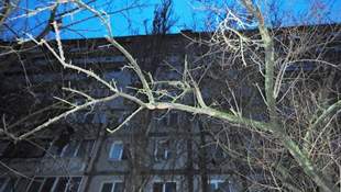 В Николаеве девушка совершила самоубийство из-за насилия