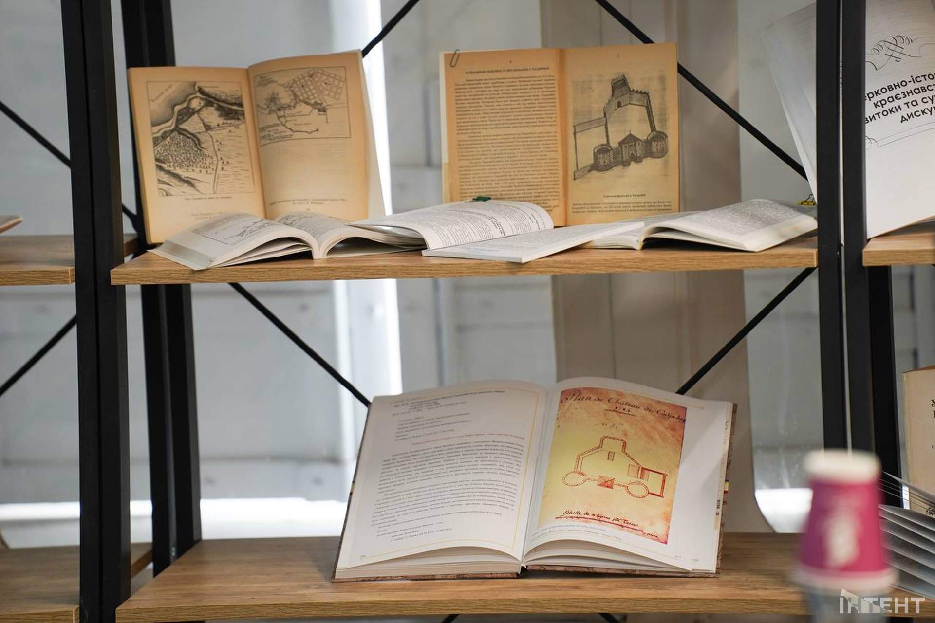 Ректор університету в Одесі розповів про найгучніше археологічне відкриття останніх років