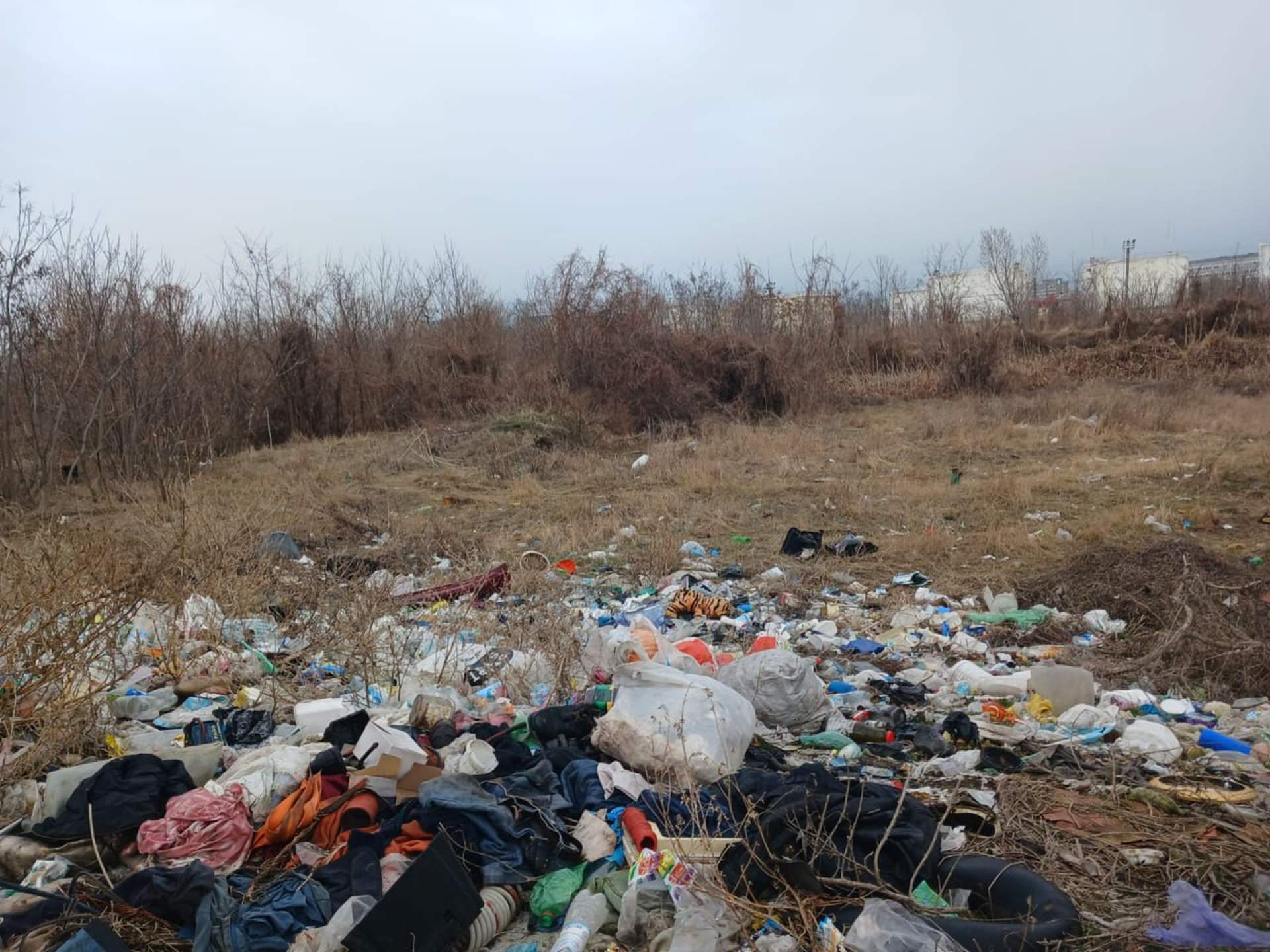 В Одесі екологи виявили незаконне сміттєзвалище: хто його повинен прибрати