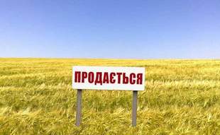Over 26 thousand hectares of land sold in Mykolaiv region in three years