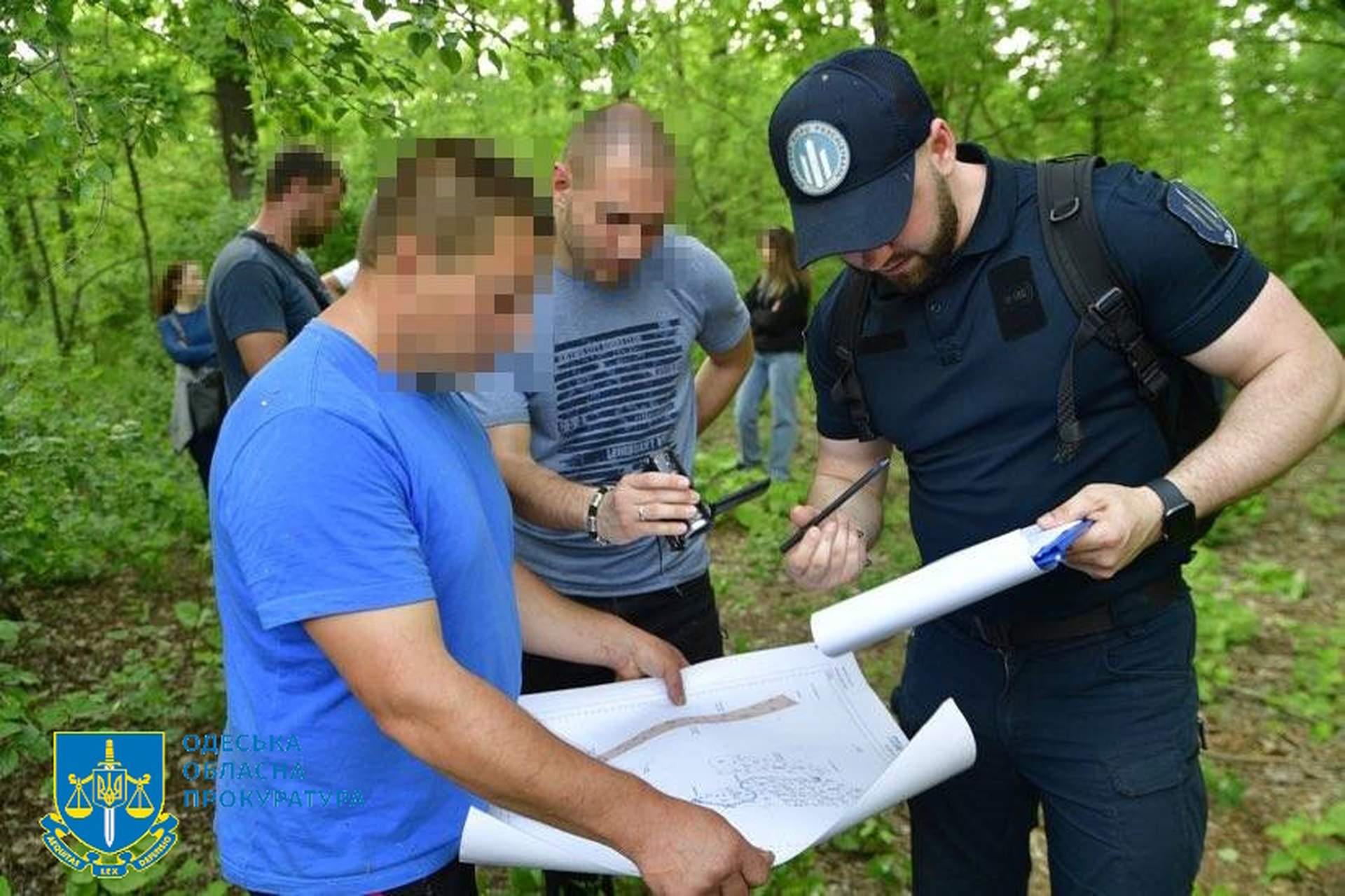 Масштабне знищення дерев у нацпарку на Одещині: кого будуть судити