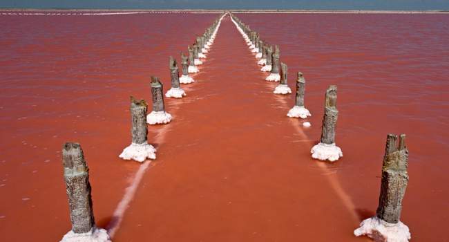 Сасык-Сиваш. ФОТО: ТАСС