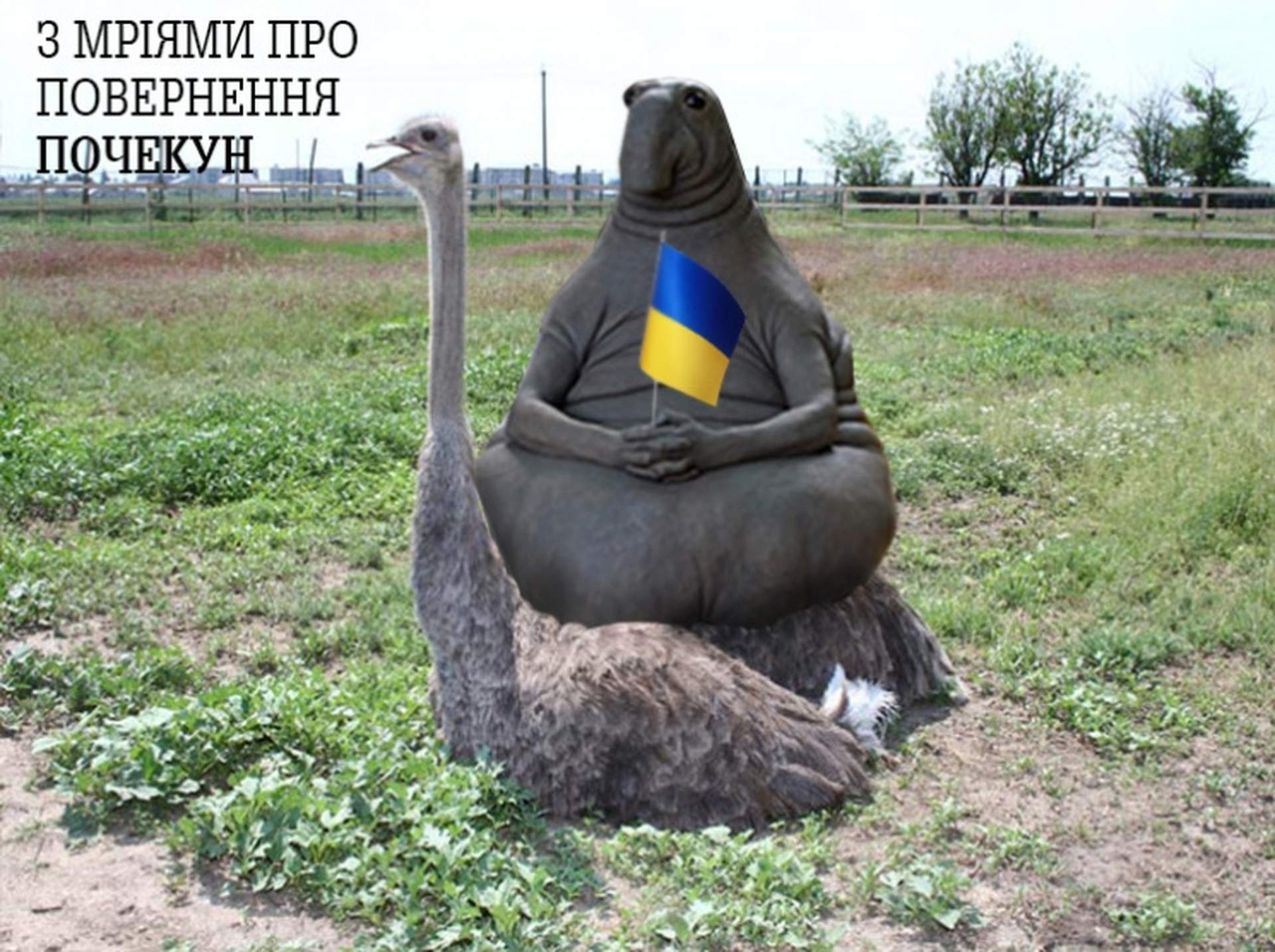 Самые популярные "ждуны" в политике: фотоподборка
