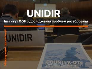 Институт ООН по исследованию проблем разоружения