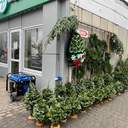 Одеса зазеленіла ялинковими базарами