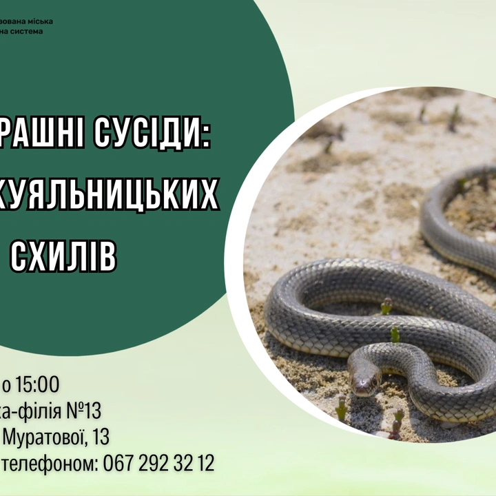 Нестрашні сусіди: Змії Куяльницьких схилів