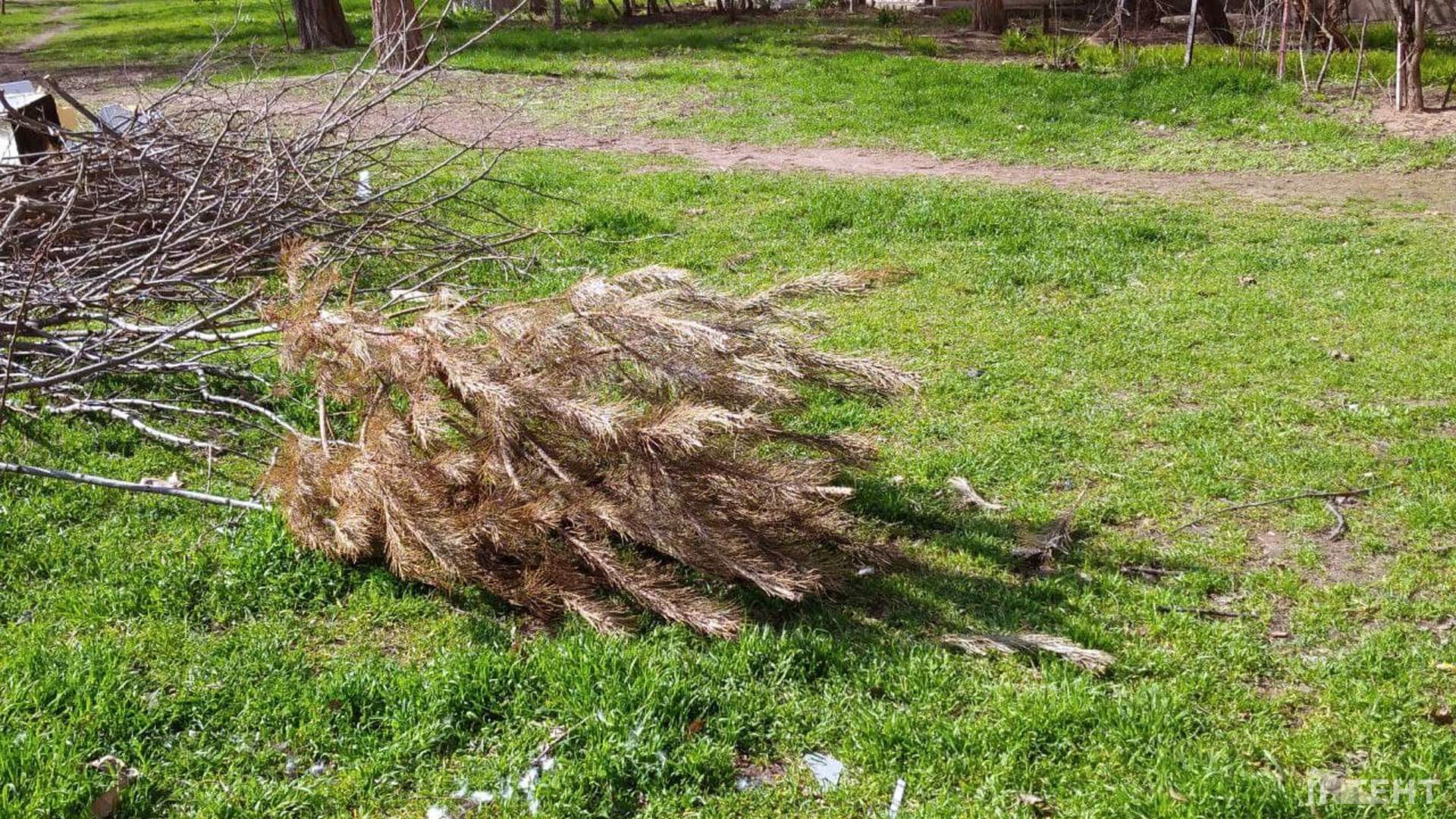 На Одещині пішов квітневий сніг