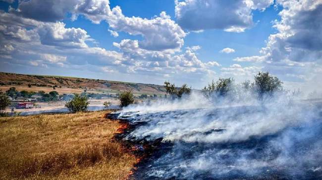 Фото: Державна екологічна інспекція Південно-Західного округу