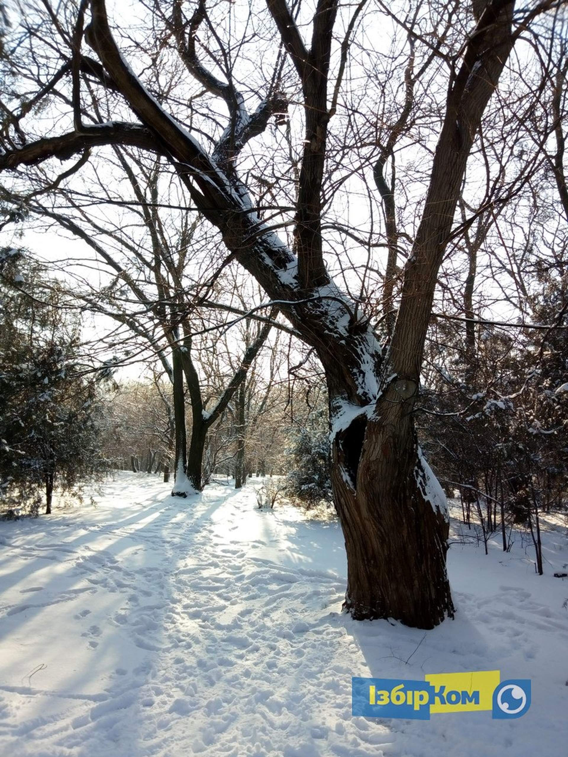 Снег в Одессе: катание на санках и прогулки к морю