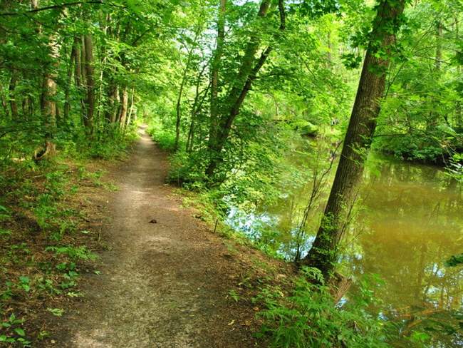 Фото: Миколаївська облдержадміністрація