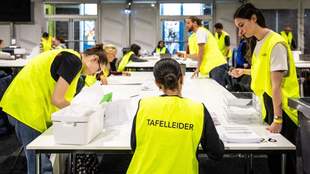 Вибори в Нідерландах: чого чекати біженцям з України