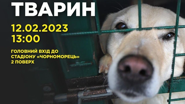 День підтримки покинутих тварин