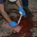 Одеські медійники пройшли тренінг з безпеки в зонах бойових дій