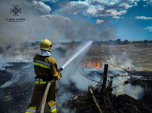 Двадцять пожеж сталося у Миколаївській області за добу: пошкоджено господарчі будівлі