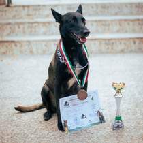 Пес Патрон