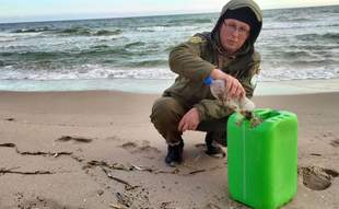 На побережье нацпарка в Одесской области вынесло российский мазут