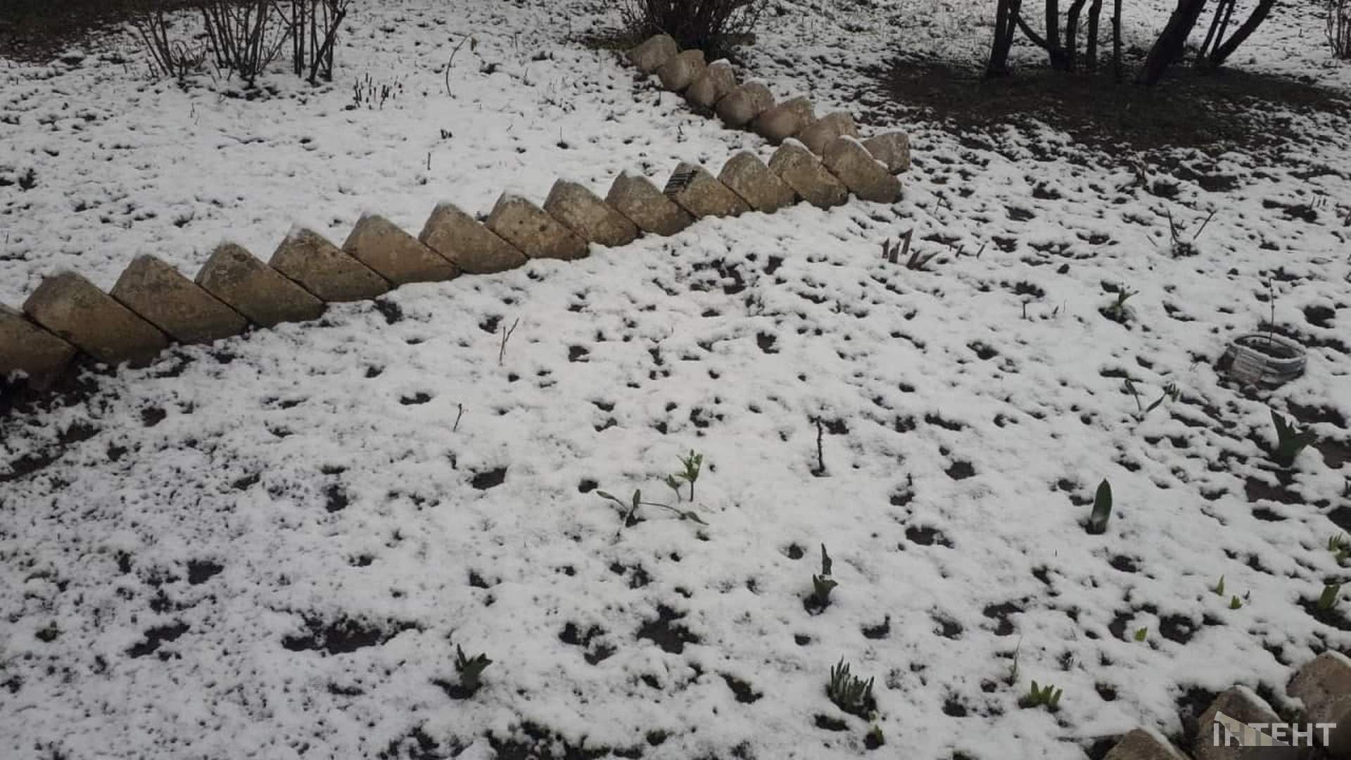 На Одещині пішов квітневий сніг