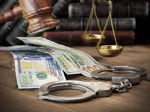 Суд ув'язнив шахрайок на 10 років через продаж землі на Одещині