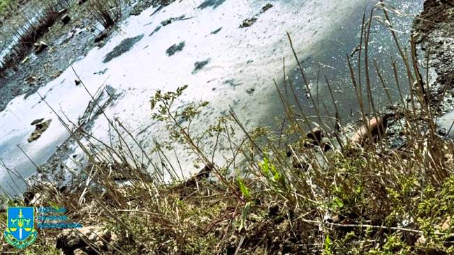 Забрудення земель в Ізмаїлі. ФОТО: od.gp.gov.ua