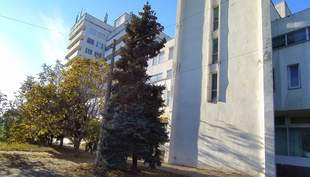 Odesa Institute has risen in price by more than five times after the auction