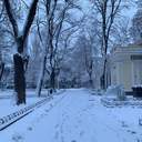 Одесу завалює снігом