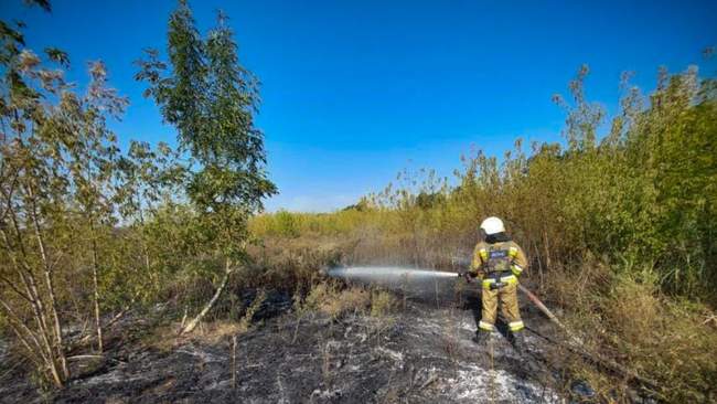 ФОТО: ГУ ДСНС України у Миколаївській області