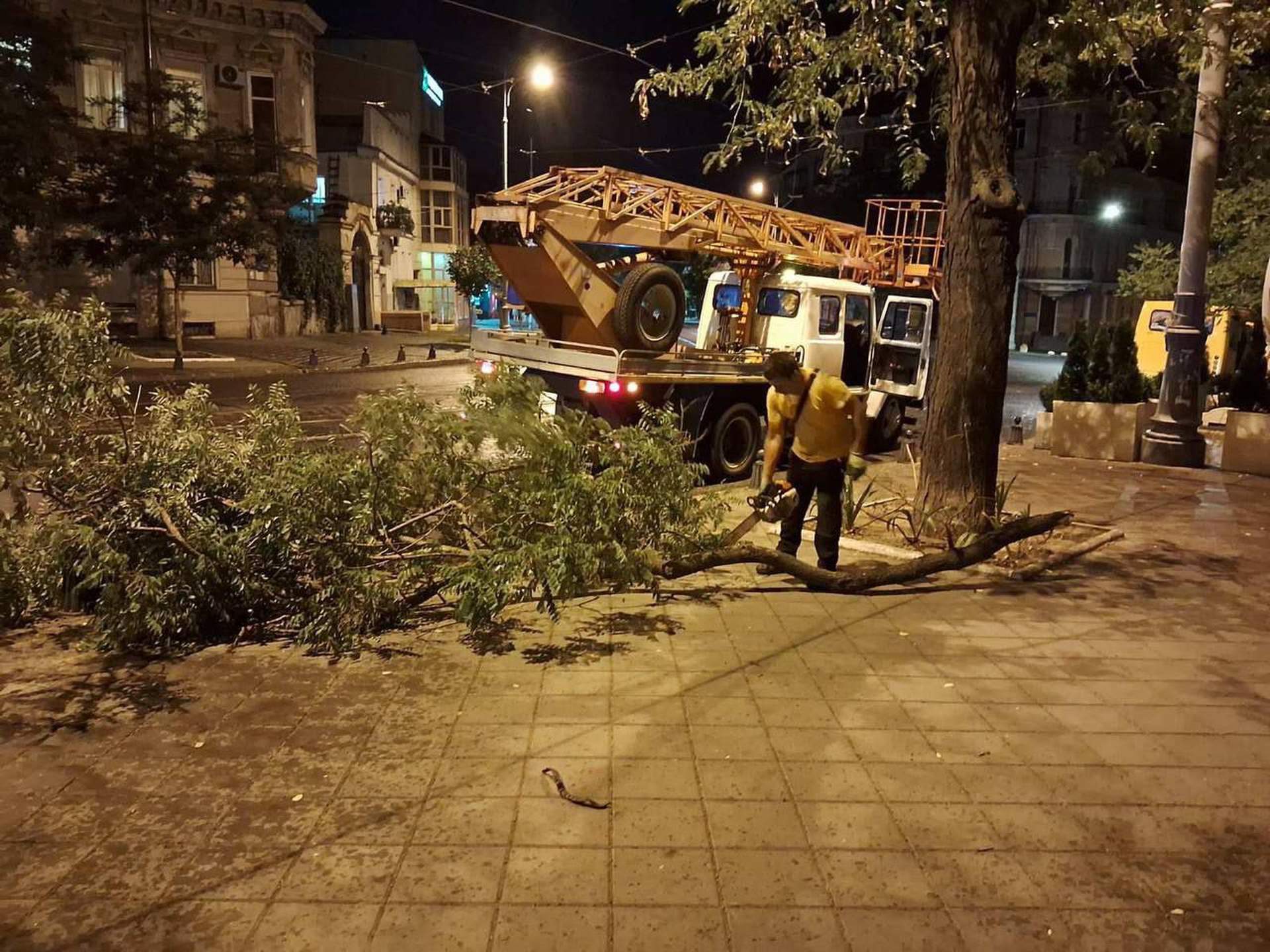 В Одесі вітер валив дерева на автівки та кіоски