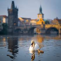 Prague