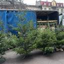 Одеса зазеленіла ялинковими базарами