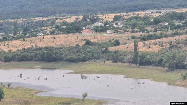 Білогірське водосховище 31 серпня 2026
