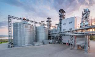 На Миколаївщині планують відкриття олійного заводу