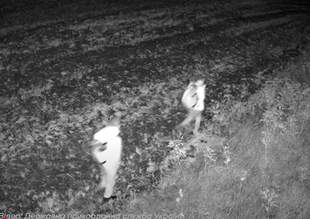 Those who fled abroad through Odesa region were interrogated by Transnistrian security forces